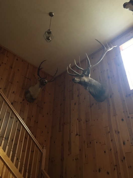 10E35C01-2BB8-40CF-9F68-FEDD2DA85302