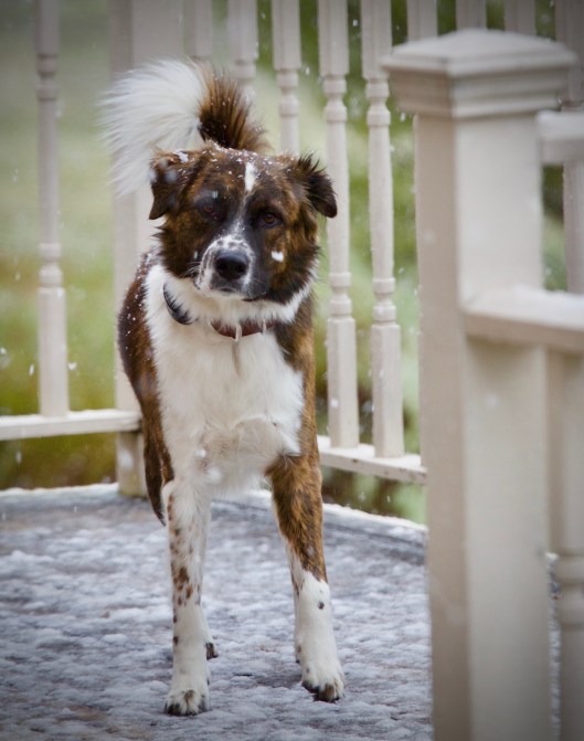 1A30DD66-1EA2-44C5-B906-C5547118875E