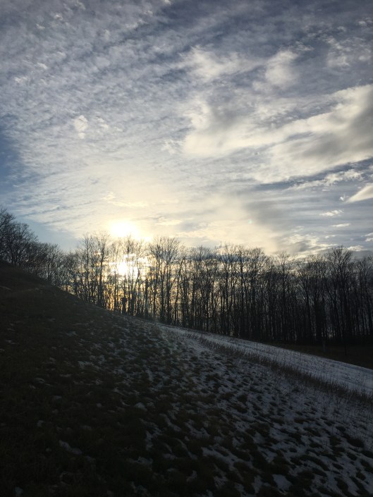 64876C1D-D916-46A4-A3F1-0DE282A32510