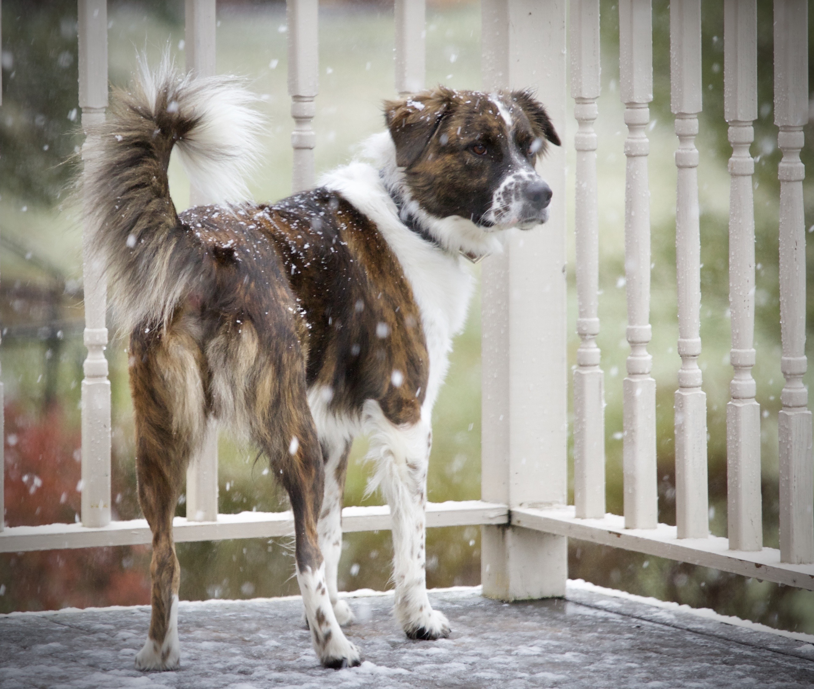 9EBEB5D3-A331-4D2A-9DC8-FEE271CF8476