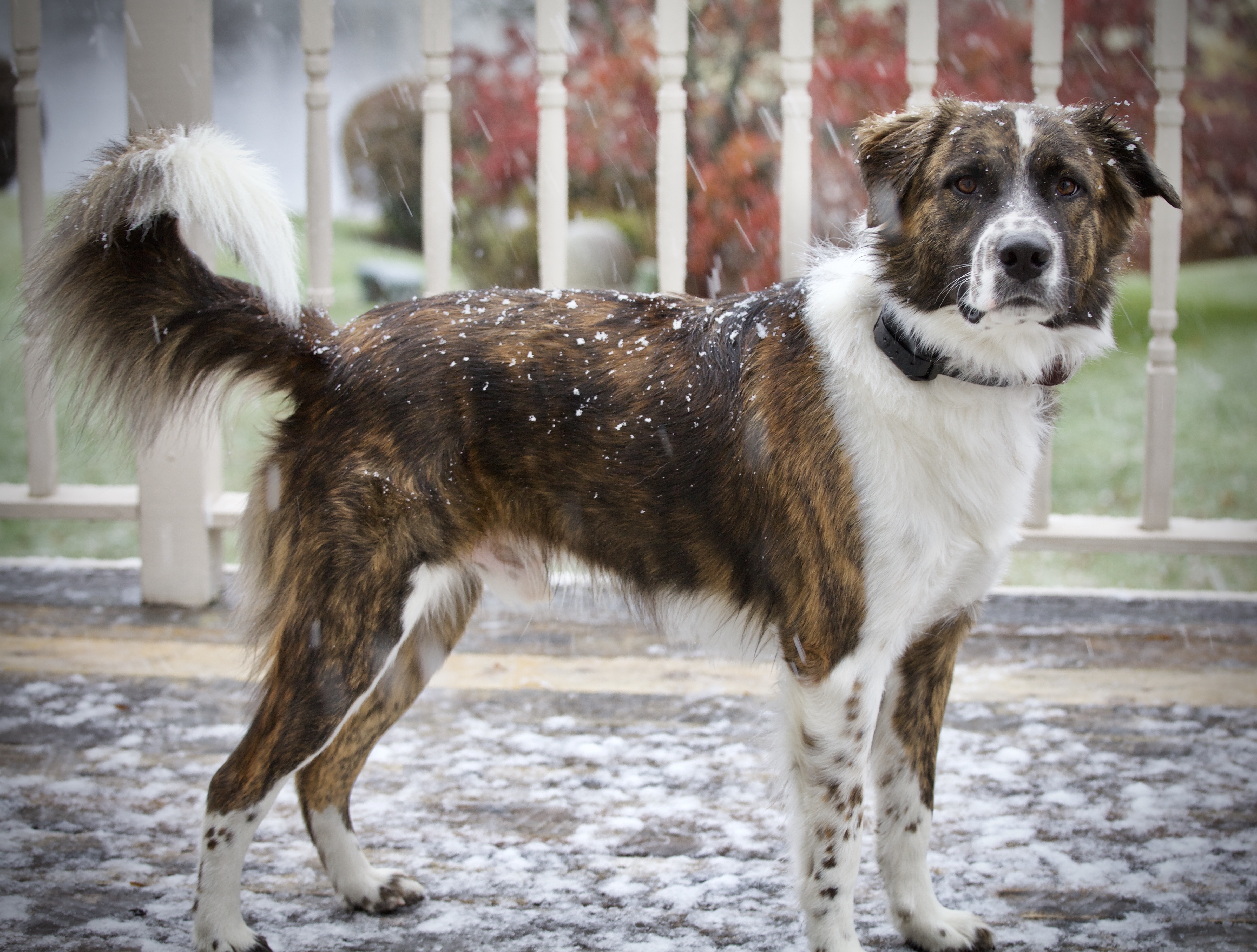 D3C821C9-3F40-4D34-913C-24DEE36722DC