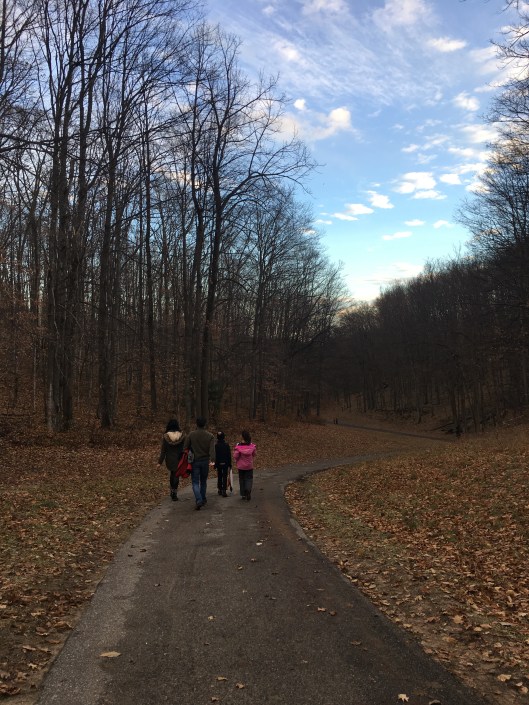 F8962641-41CE-456B-B97B-9928BC31A43B